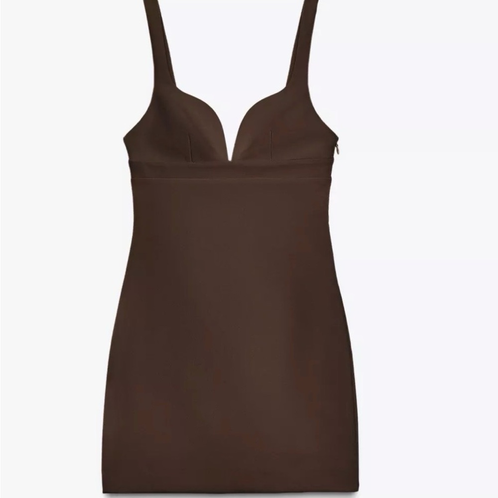 Zara Brown Mini Dress